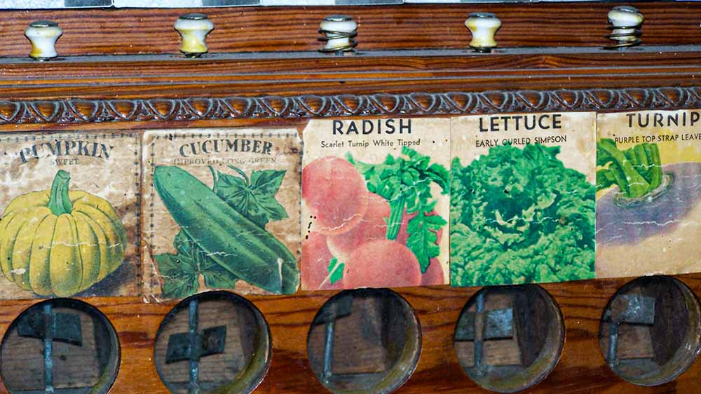 A wooden shelf with three different seed packets on it.