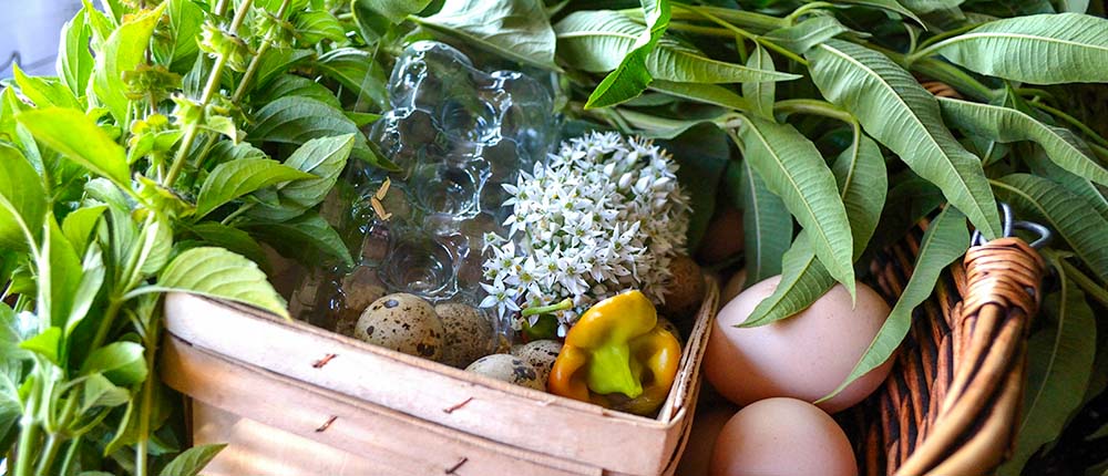Basil-Flowers-with-Chive-Blossoms Basket of fresh produce with eggs, basil flowers, and chive blossoms.