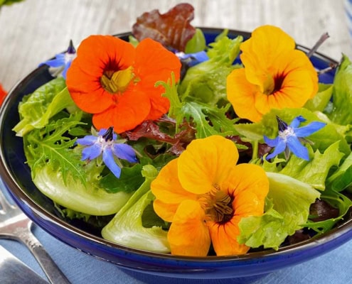 Fresh salad with nasturtium and borage edible flowers.