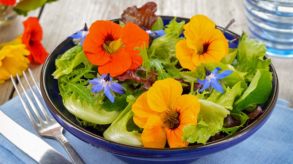 Edible-Flowers-in-Salad Fresh salad with nasturtium and borage edible flowers.