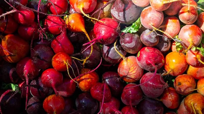Beets Cool Season Garden Beets from a cool season garden.