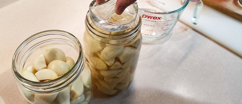 Adding Weight to Brined Garlic Adding glass weight to vinegar brined garlic.