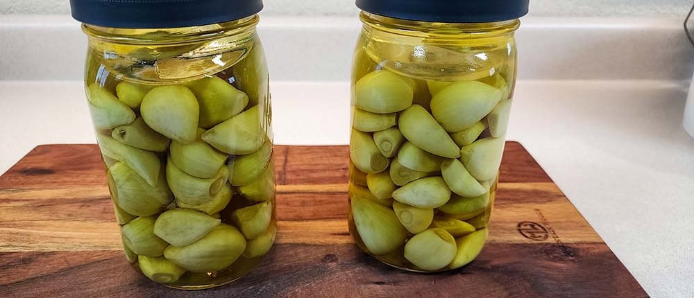 After First Brine Korean pickled garlic after first brining.
