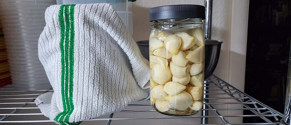 First Brining Korean pickled garlic. First brining with vinegar and salt.