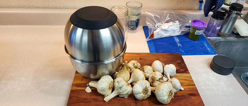 Ready to Peel Garlic Garlic ready to peel with bowl shaking method.
