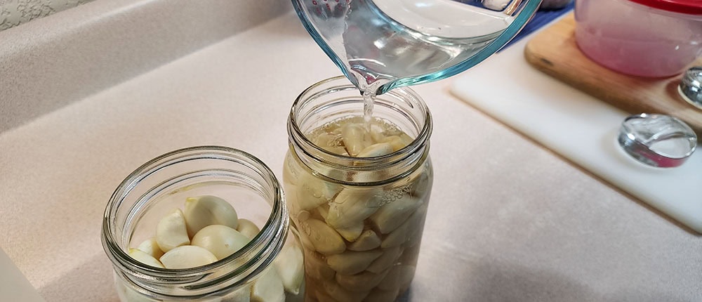 Vinegar Brining Garlic Adding vinegar and salt brine for Korean pickled garlic.