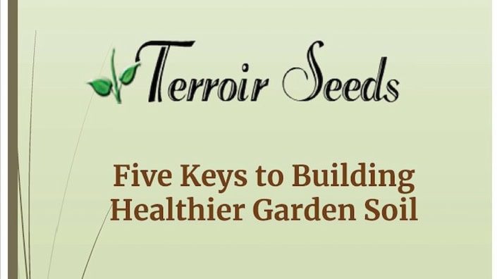 5 Keys to Building Healthier Garden Soil