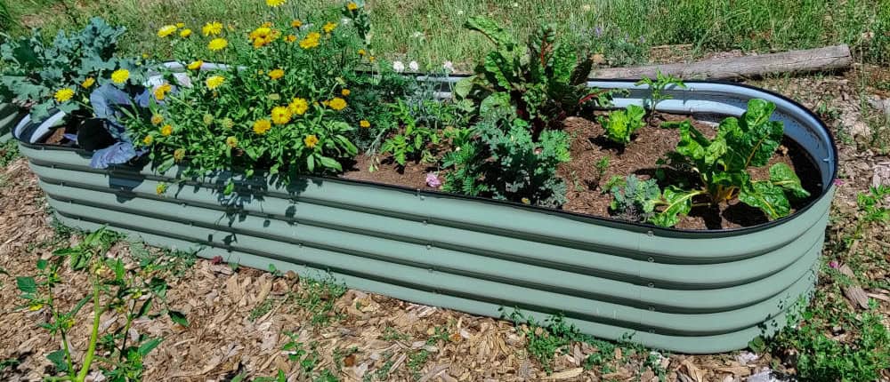 Container Garden Container Garden