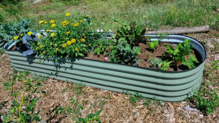 Container Garden
