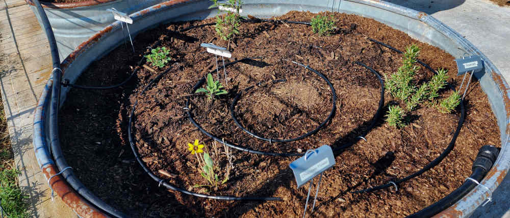 Drip System Drip system in a large planter bed.