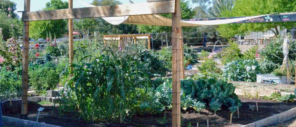 Horizontal Shade Cloth Horizontal shade cloth over garden.
