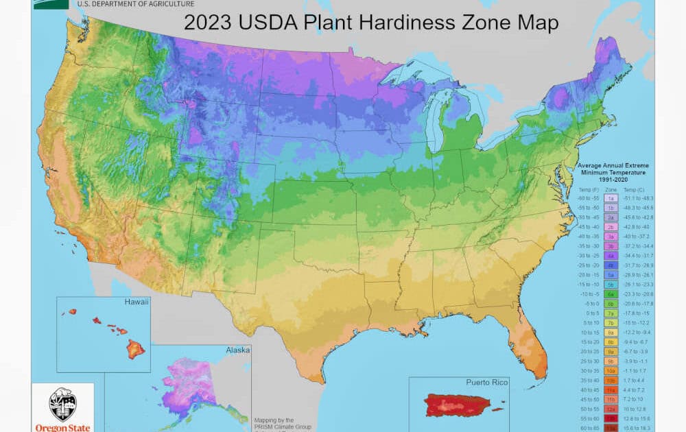 USDA National Map USDA Plant Hardiness Zone Map - 2023