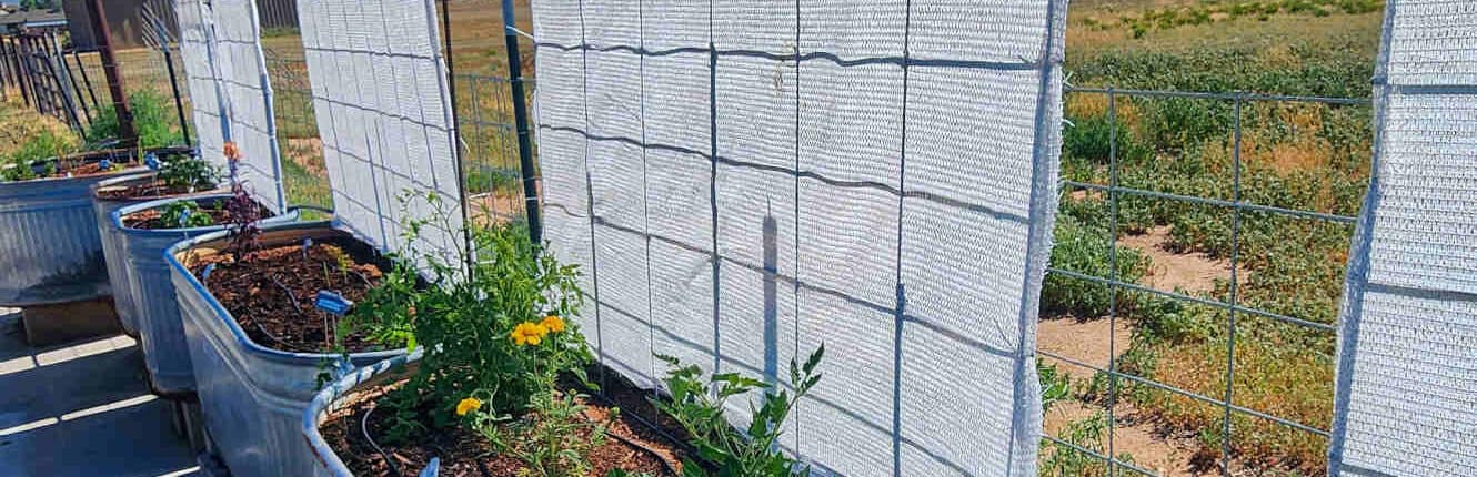 Vertical Shade Cloth Vertical shade cloth on row of container beds.