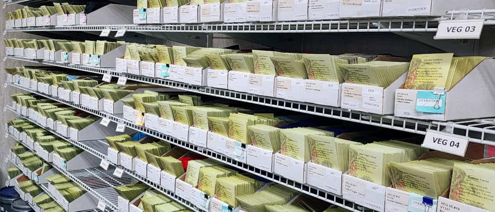 Racks of Filled Seed Packets
